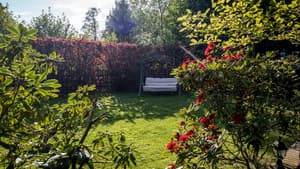 Ein Garten im Sommer
