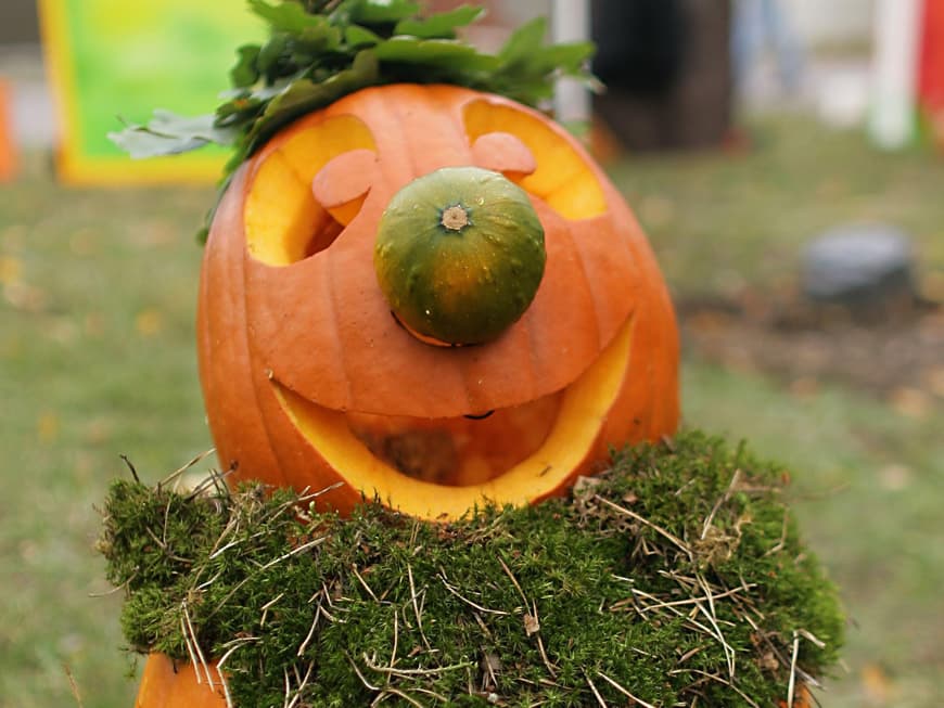 Drei unterschiedlich große Kürbisse für Bauch, Kopf und Nase, reichlich Moos, Draht zum Fixieren, ein paar Blätter fürs Haupthaar und ein Glöckchen als Kappe – fertig ist der lustige Gartenfreund, Türsteher oder Balkonwächter