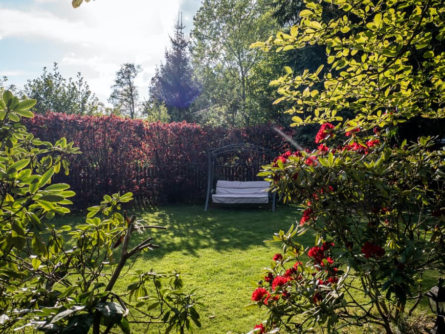 Ein Garten im Sommer