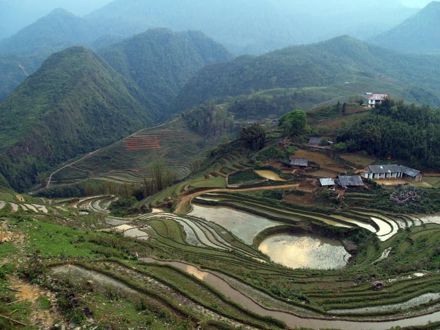 Riesige Reisfeld-Terrassen prägen das Hochland in Nordvietnam