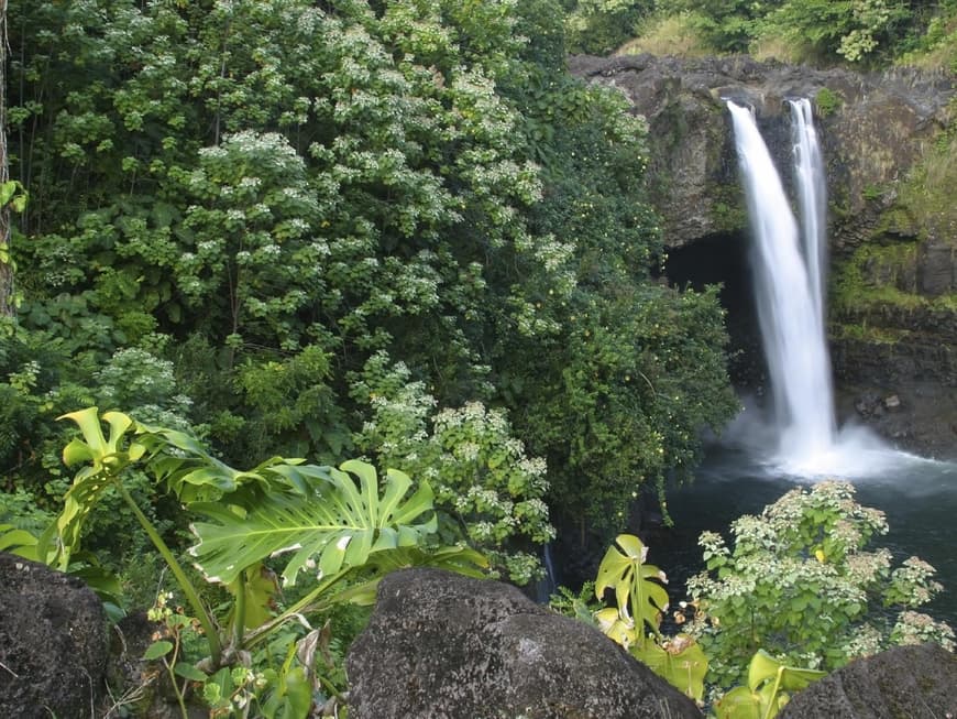 Tropischer Regenwald und märchenhafte Wasserfälle – Hawaii hat landschaftlich viel zu bieten