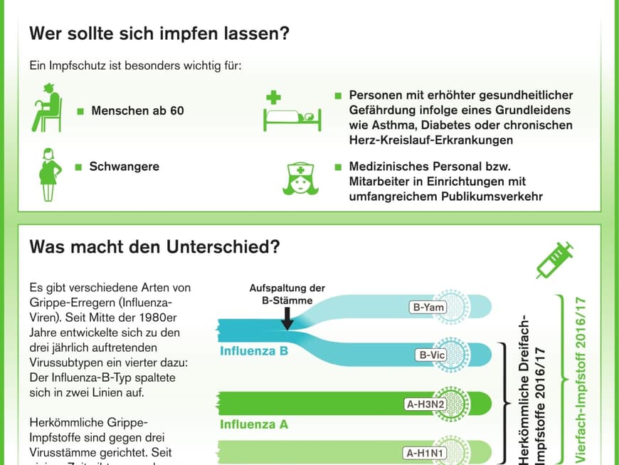Die Grafik zeigt die am meisten durch die Grippe betroffene Personengruppe und welche Grippe-Erreger es gibt
