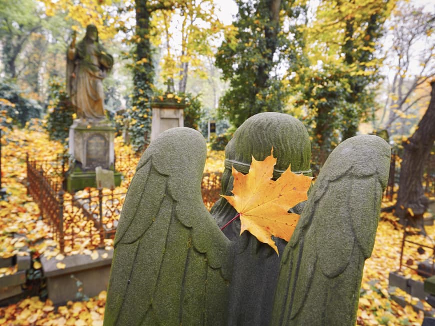Bei der Wahl einer Grabstätte unterstützt Sie meist die Friedhofsverwaltung 