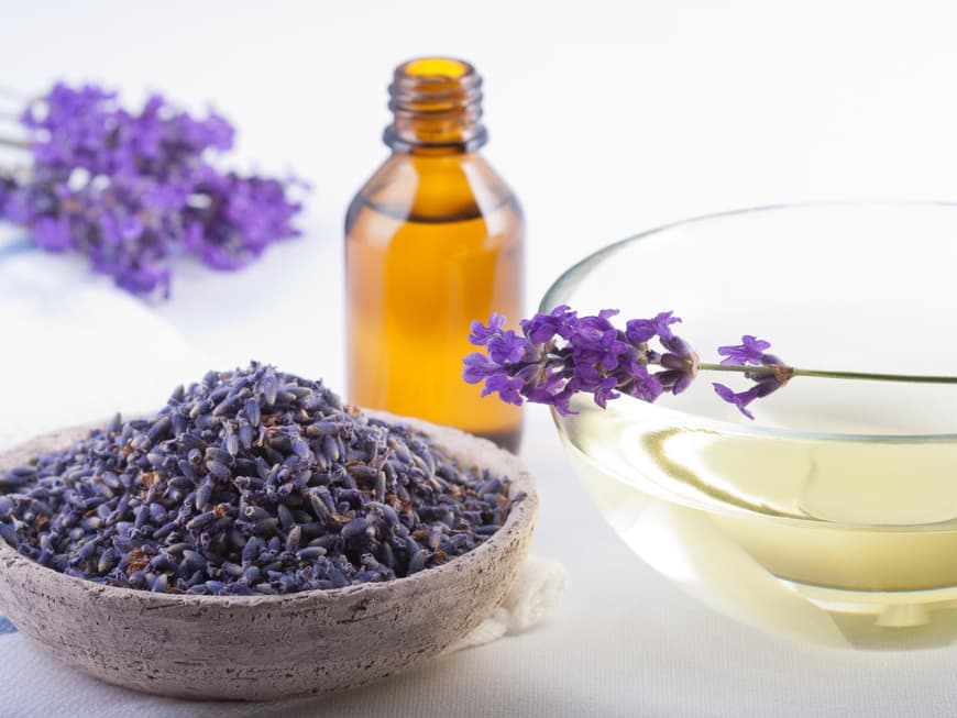 Lavendel ist ein wunderbares Kraut! Es hilft auch gegen Stress und Schlaflosigkeit