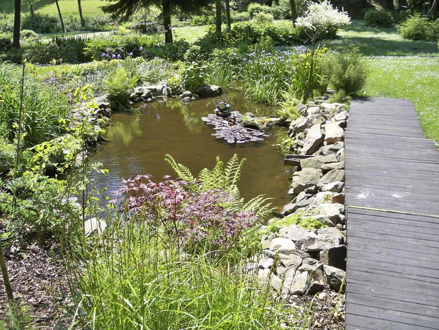 Wer einen Gartenteich anlegt, bietet zahlreichen Kleintieren und Insekten einen Lebensraum