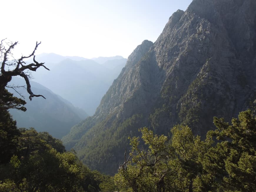 Eine beeindruckende Vegetation finden Urlauber auf Kreta