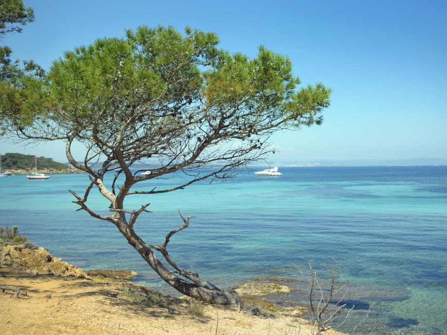 Die Cote d´Azur ist auch für Normalurlauber ein bestechendes und bezahlbares  Reiseziel