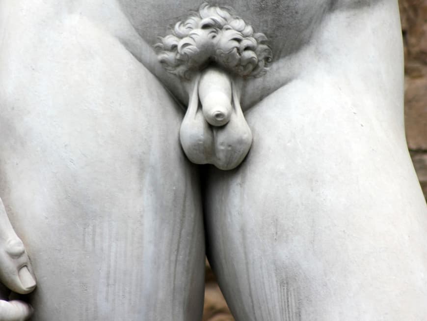 Gibt es den perfekten Penis?