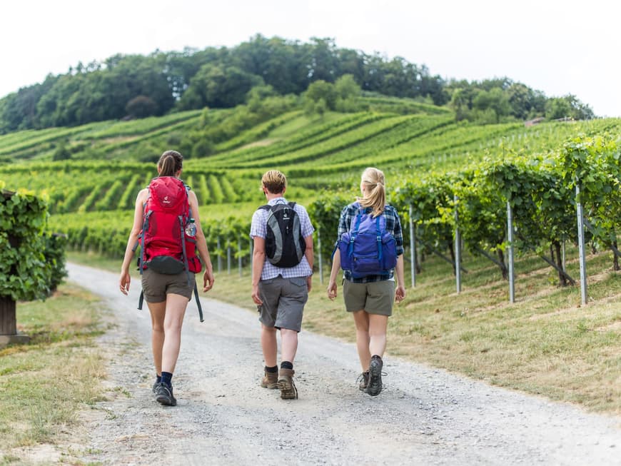 weinwandern