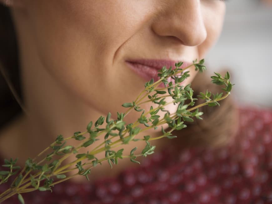 Sanfte Kräuterkuren können Ihrer Gesundheit helfen