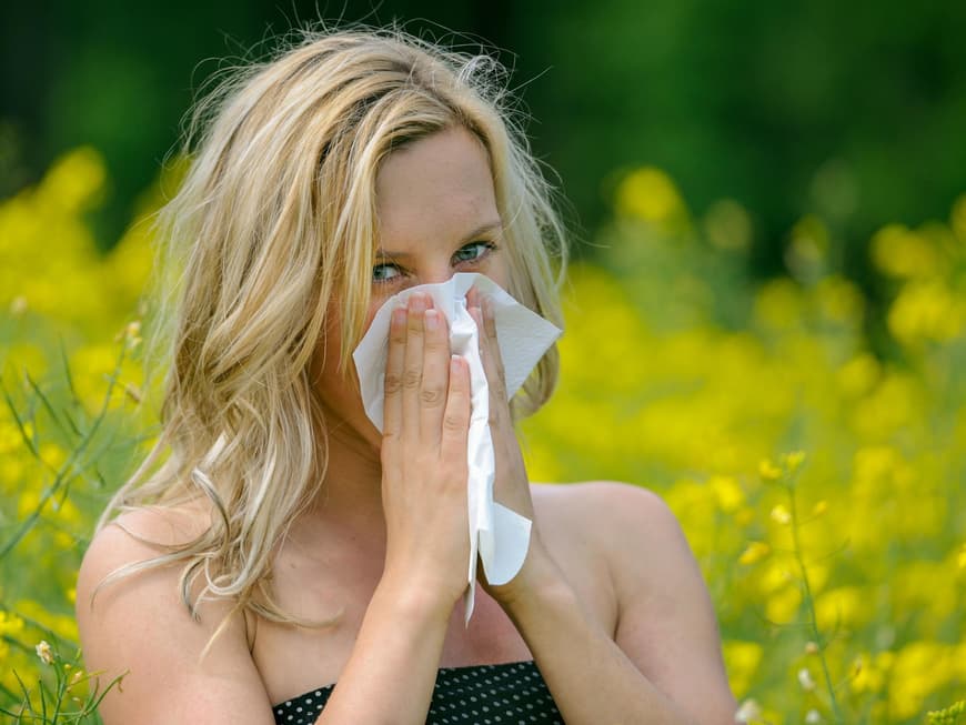 Heuschnupfen gilt als die häufigste Allergie in den Industrieländern und tritt immer früher im Jahr auf.