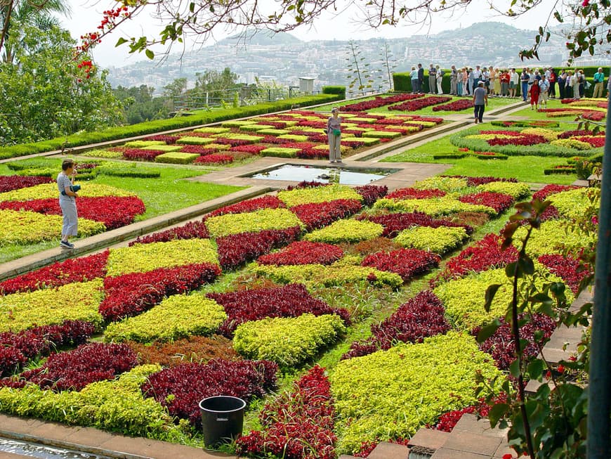Blütenpracht: Im botanischen Garten blühen Azaleen, Amaryllis, Strelitzien und weitere unzählige Blüten.