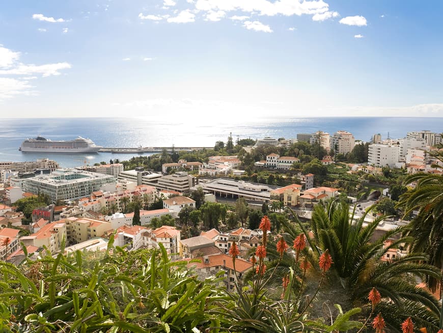 Atemberaubend schön ist der Ausblick über Madeiras Hauptstadt Funchal.