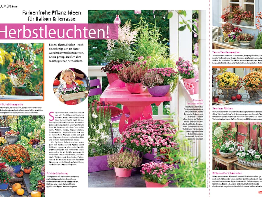 Farbenfrohe Pflanz-Ideen für Balkon und Terrasse im Herbst