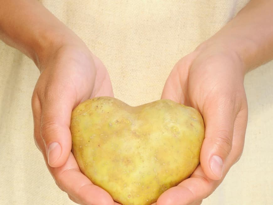 Alles, was Sie über Kartoffeln wissen müssen