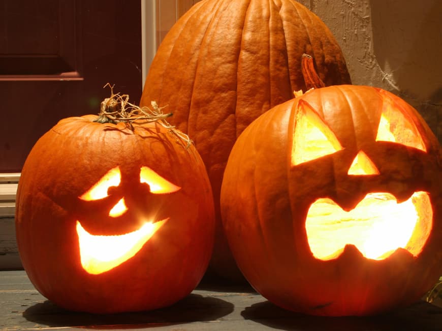 Nicht nur zu Halloween ein Hingucker: Wir zeigen, wie sich ganz einfach Gesichter und Muster in den Kürbis schnitzen lassen