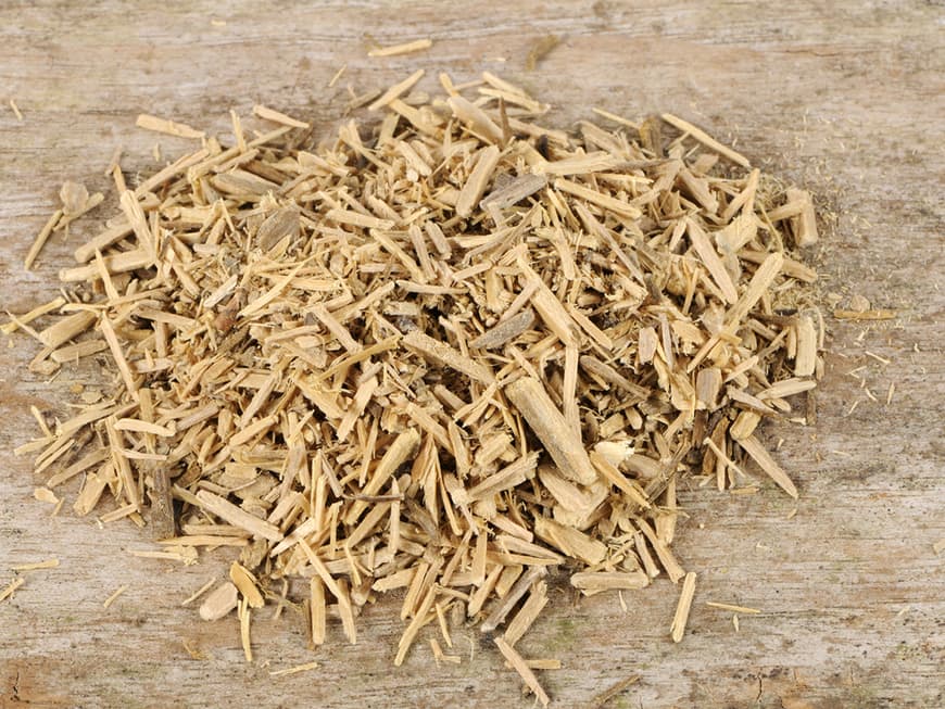 Natürlicher Lustmacher: Das Holz der Pflanze Muira Puama wird zum sogenannten Potenzholz verarbeitet.
