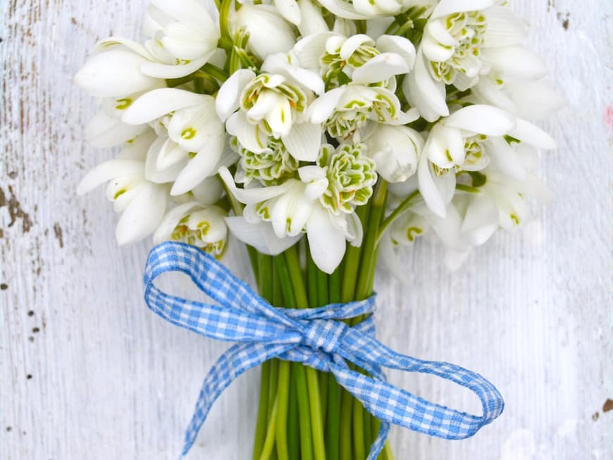 Schön gebundener Strauß weißer Blumen