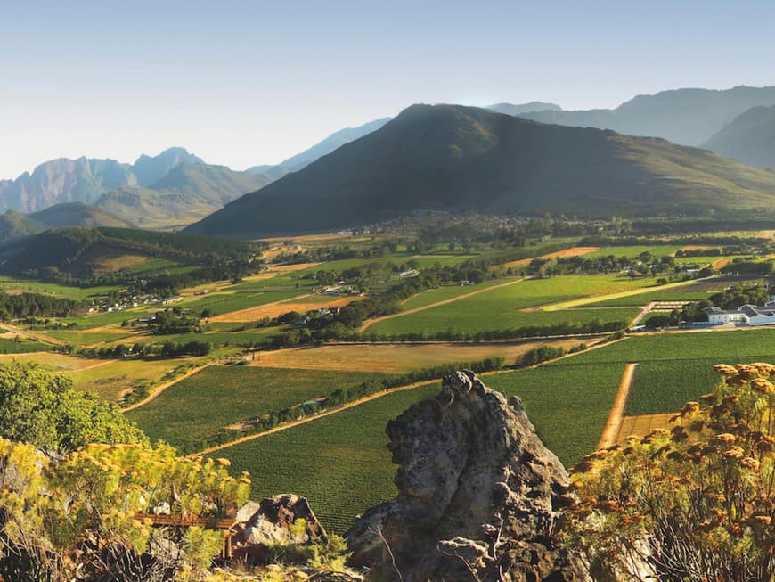 Landschaft in Südafrika und Weinberge