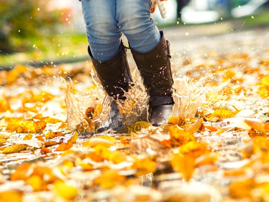 Schuhpflege im Herbst und Winter
