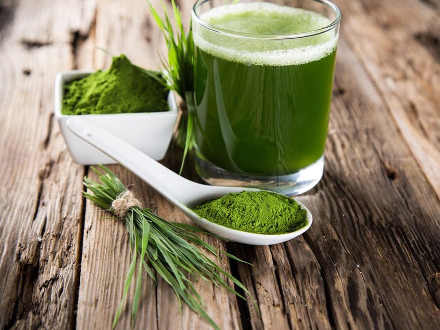 Gerstengras kann als Saft getrunken oder als Tablette bzw. Pulver eingenommen werden. Wer mag, verarbeitet es frisch, etwa im Smoothie