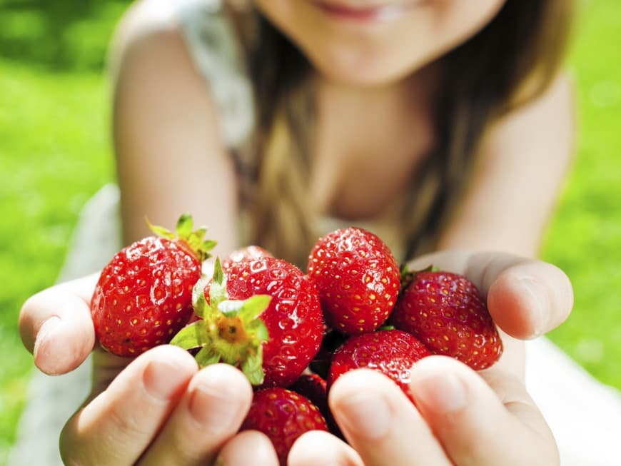 Junges Mädchen hält eine handvoll frische, rote Erdbeeren in die Kamera