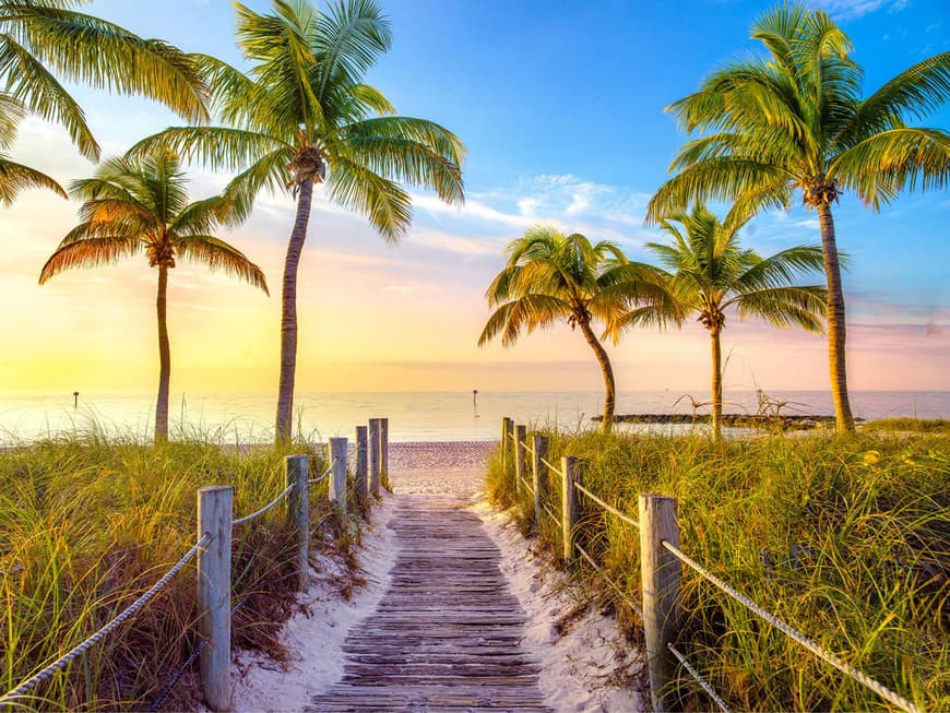 Unter Palmen: Feinste Sandstrände laden auf Key West zum Baden und Erholen ein.