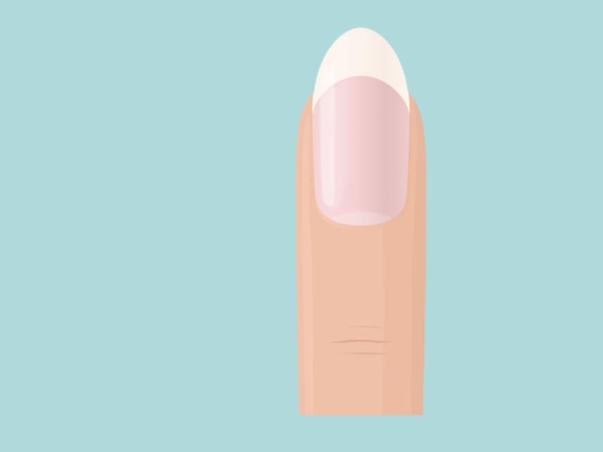 Illustration eines Fingers mit mandelförmigem Fingernagel