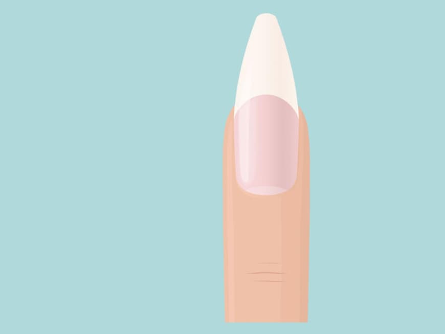 Illustration eines Fingers mit spitz zulaufendem Fingernagel, der vorn leicht abgefeilt ist