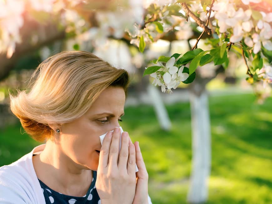 Jeder fünfte Deutsche leidet an einer Pollen-Allergie