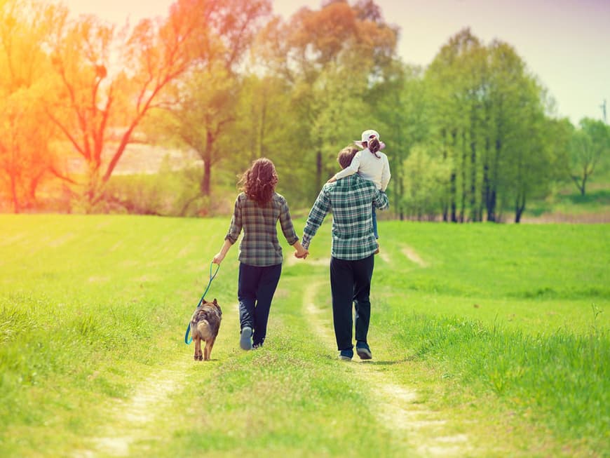 Eltern mit Kind und Hund spazieren über einen Feldweg