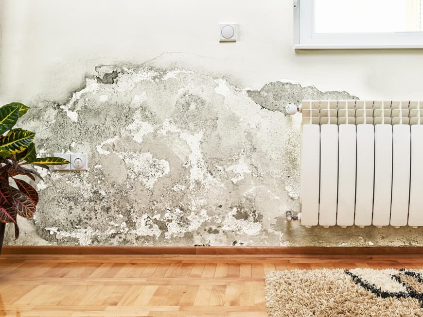 Geschimmelte Wand