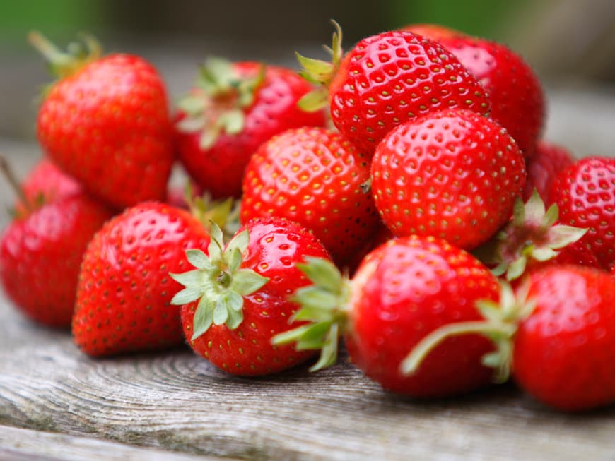 Frische Erdbeeren zur Erdbeersaison 2018