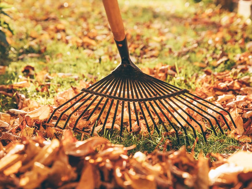 Die wichtigsten Herbst-Urteile sollten Sie kennen