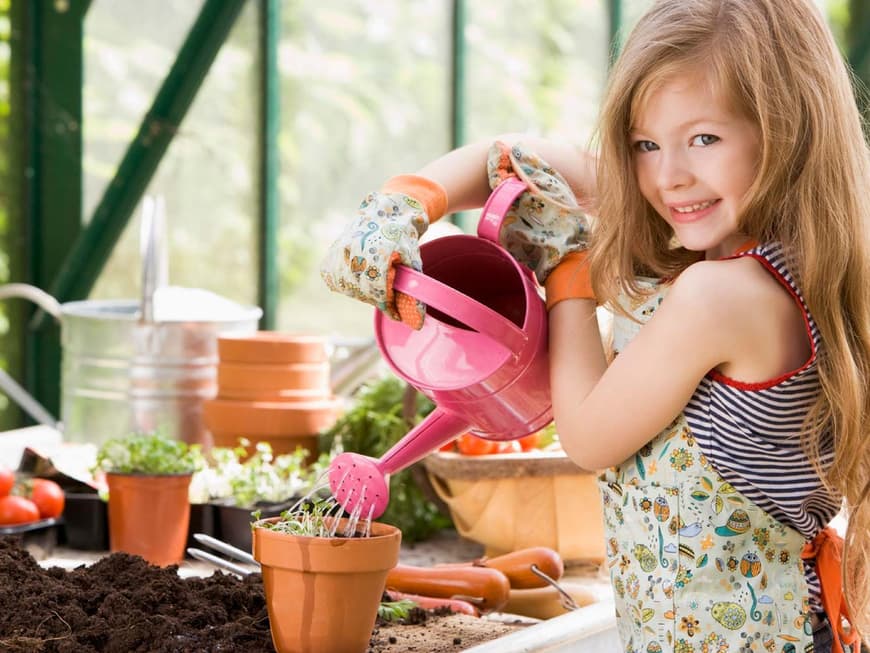 Blumengießen im Sommer: Das sind die 5 häufigsten Fehler