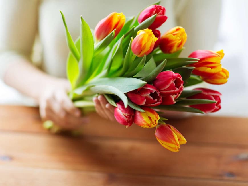 Strauß Tulpen