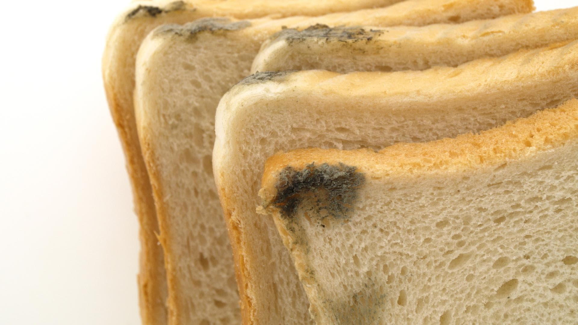 Schimmel gegessen? Was Sie jetzt tun sollten!